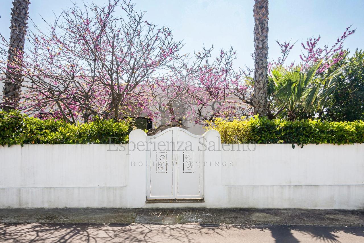 Breezy Beach House Villa Marina di Mancaversa Esterno foto